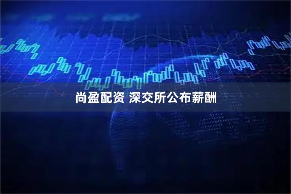 尚盈配资 深交所公布薪酬