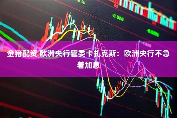 金猪配资 欧洲央行管委卡扎克斯：欧洲央行不急着加息