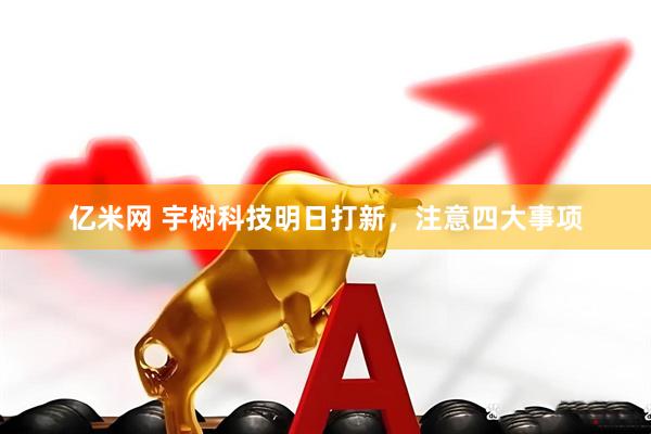 亿米网 宇树科技明日打新，注意四大事项